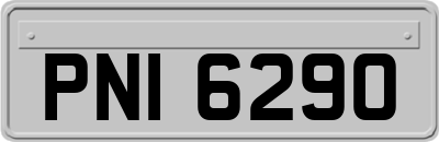 PNI6290