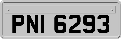 PNI6293