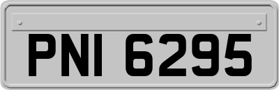 PNI6295