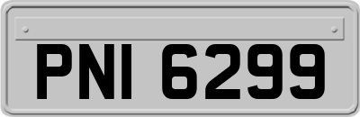 PNI6299
