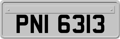 PNI6313