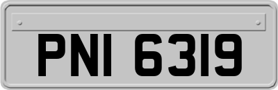 PNI6319