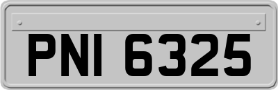 PNI6325