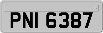 PNI6387