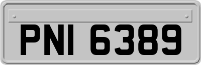 PNI6389