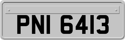 PNI6413