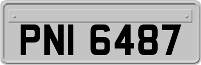 PNI6487