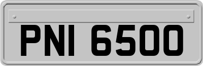 PNI6500