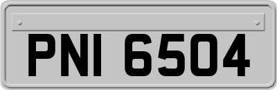 PNI6504