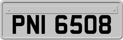 PNI6508