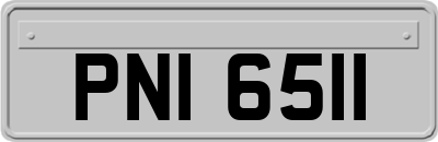 PNI6511