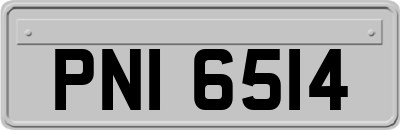 PNI6514