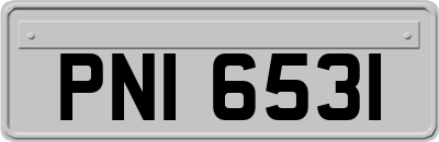 PNI6531