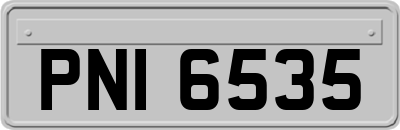 PNI6535