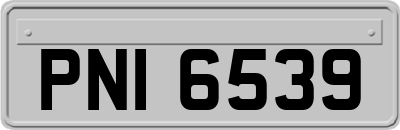 PNI6539