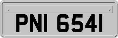 PNI6541
