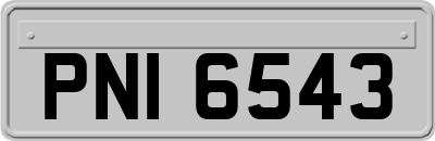 PNI6543