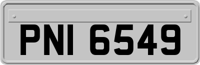 PNI6549