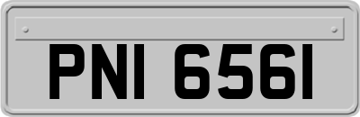 PNI6561