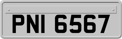 PNI6567