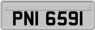 PNI6591