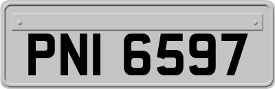 PNI6597