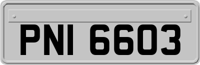 PNI6603