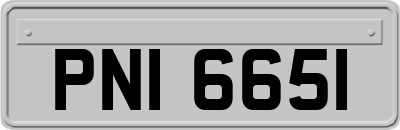 PNI6651