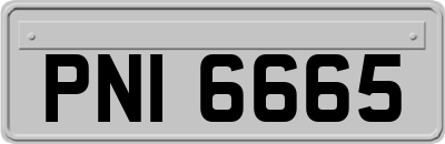 PNI6665