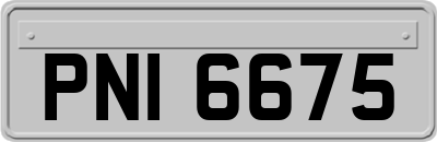 PNI6675