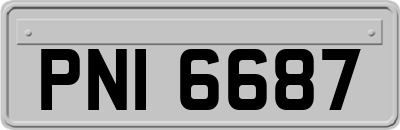 PNI6687