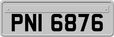 PNI6876