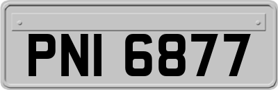 PNI6877