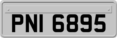 PNI6895