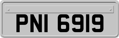 PNI6919