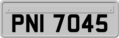 PNI7045