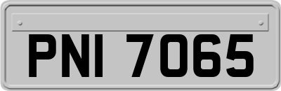 PNI7065