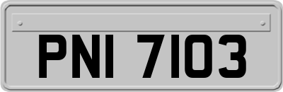 PNI7103