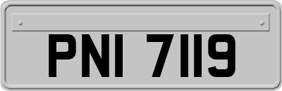 PNI7119