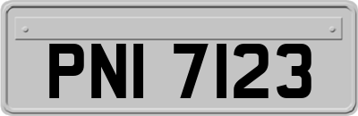 PNI7123