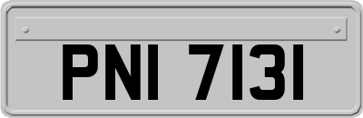 PNI7131