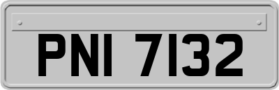PNI7132