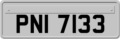 PNI7133