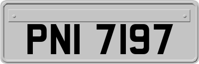 PNI7197