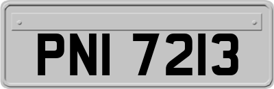 PNI7213
