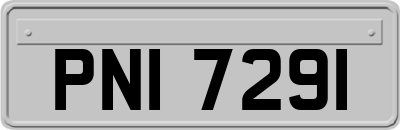 PNI7291