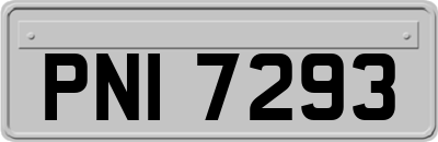 PNI7293