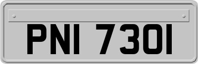 PNI7301
