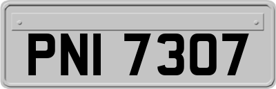 PNI7307