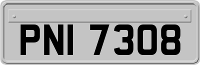 PNI7308
